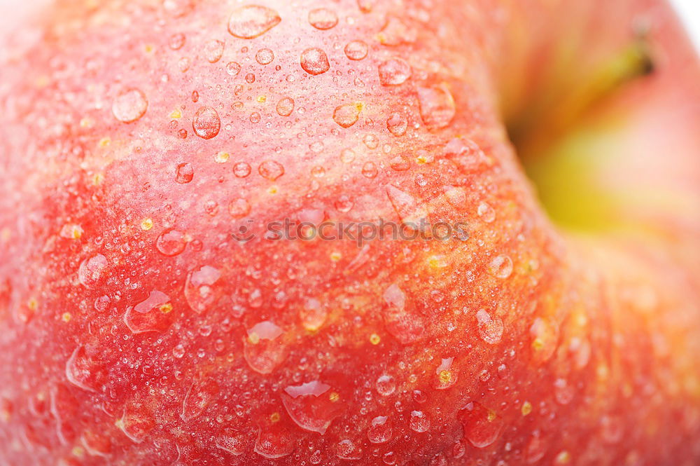 Similar – Image, Stock Photo tomato Food Vegetable