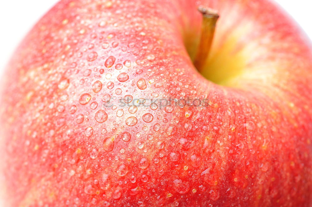 Similar – Apple on a branch Fruit