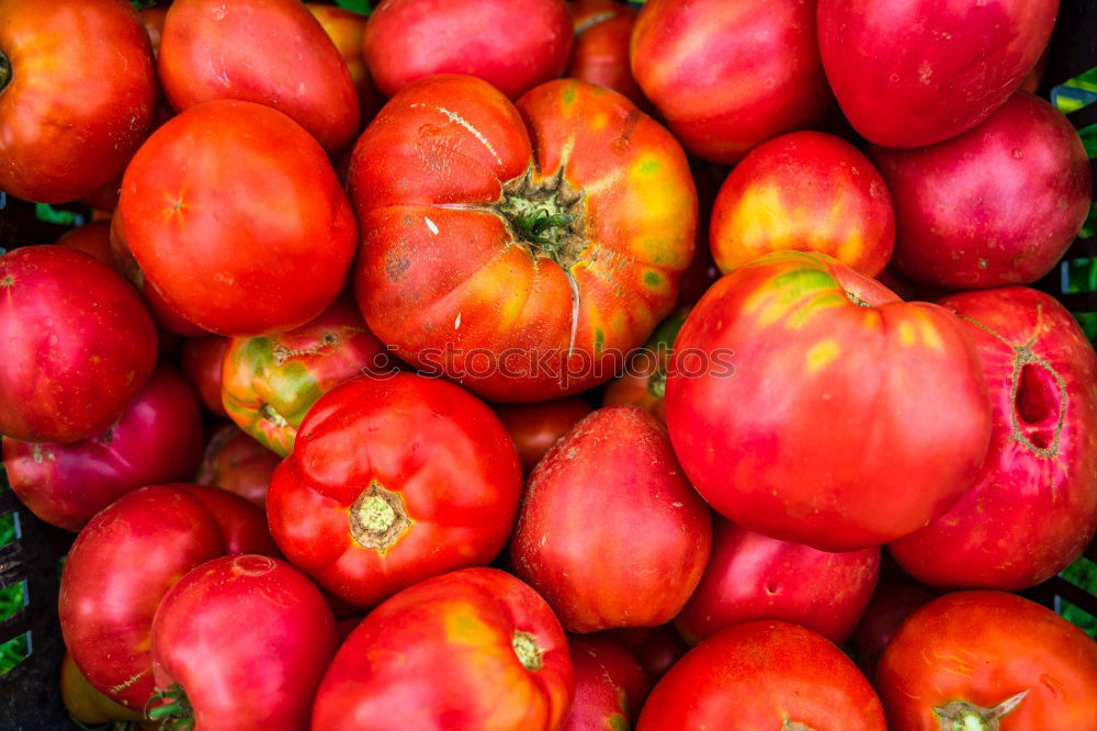 Similar – Fresh tomatoes Vegetable