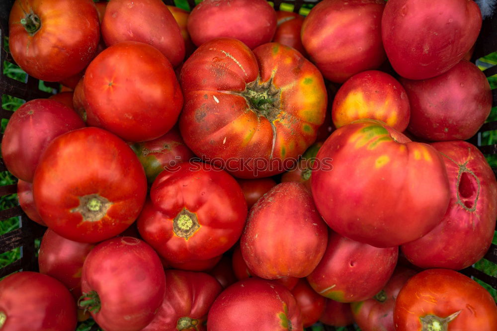 Similar – Fresh tomatoes Vegetable