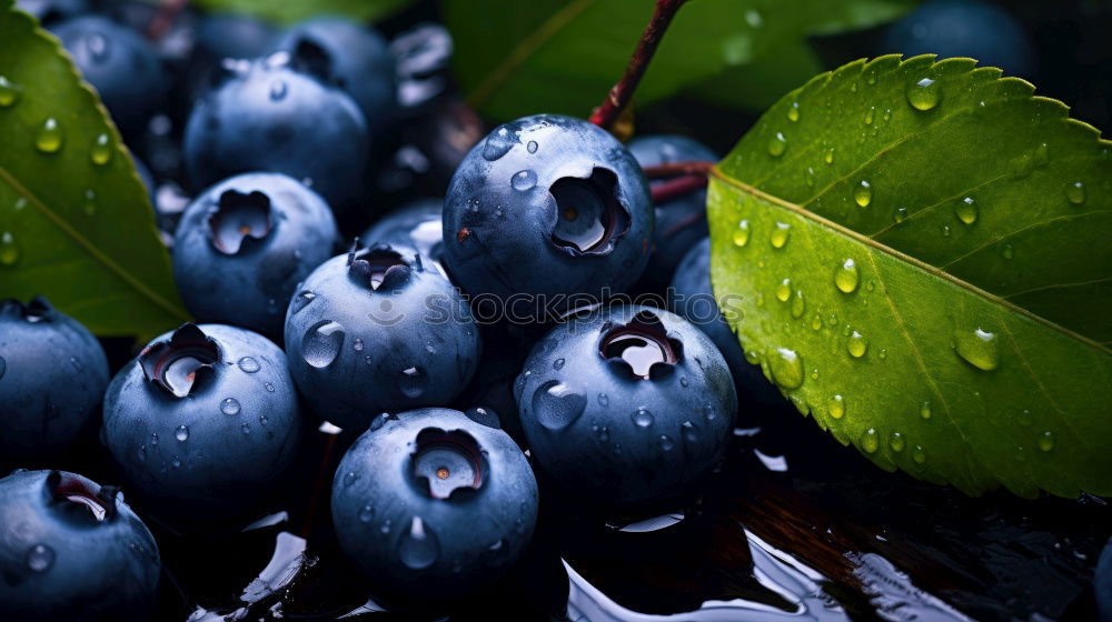 Image, Stock Photo sloe balls Fruit Plant