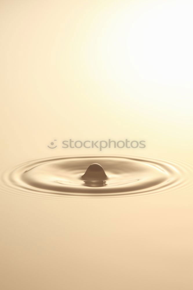 Similar – Image, Stock Photo dry boss Art Esthetic