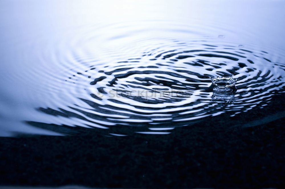 Similar – Image, Stock Photo cobblestone puddle East