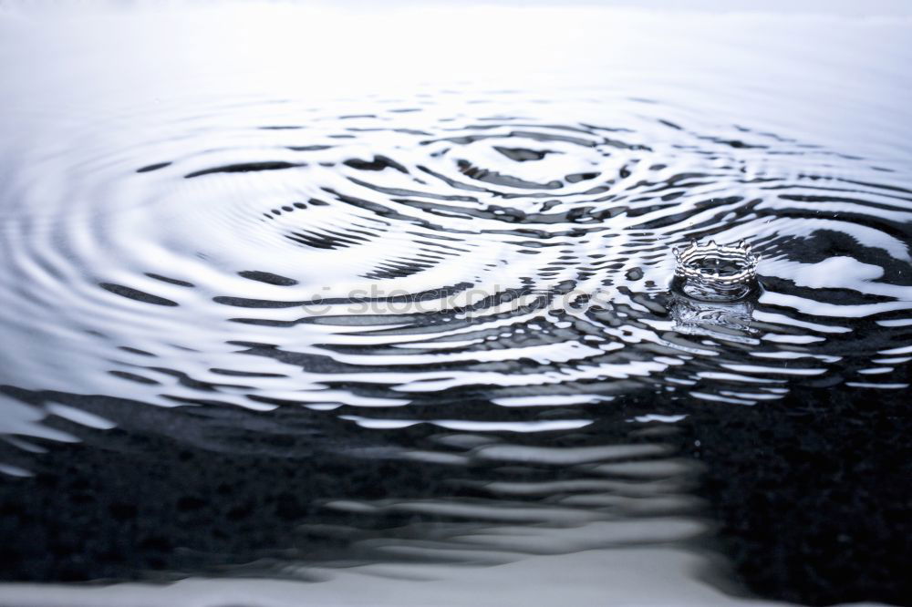 Similar – Image, Stock Photo cobblestone puddle East