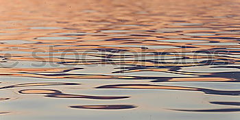 Similar – Strandgeglitzer Natur Sand