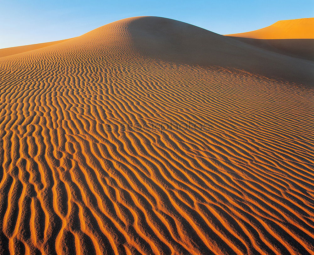 Image, Stock Photo sand dune