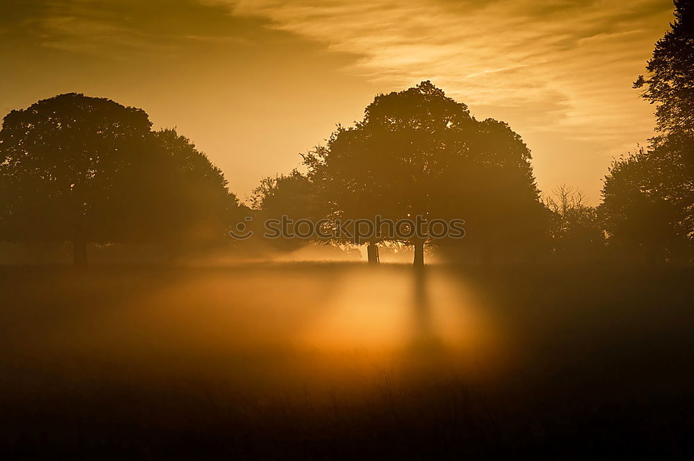 Similar – Morning fog over a stream