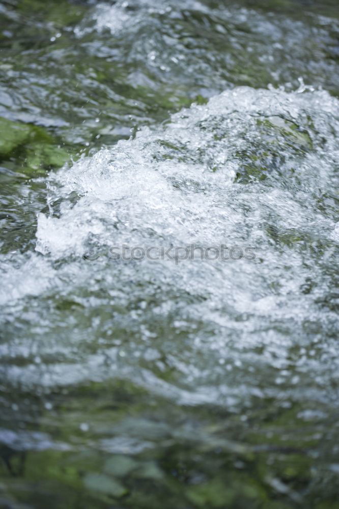 Similar – Foto Bild Einzelner Goldfisch unter Wasserstrahl im Gartenteich