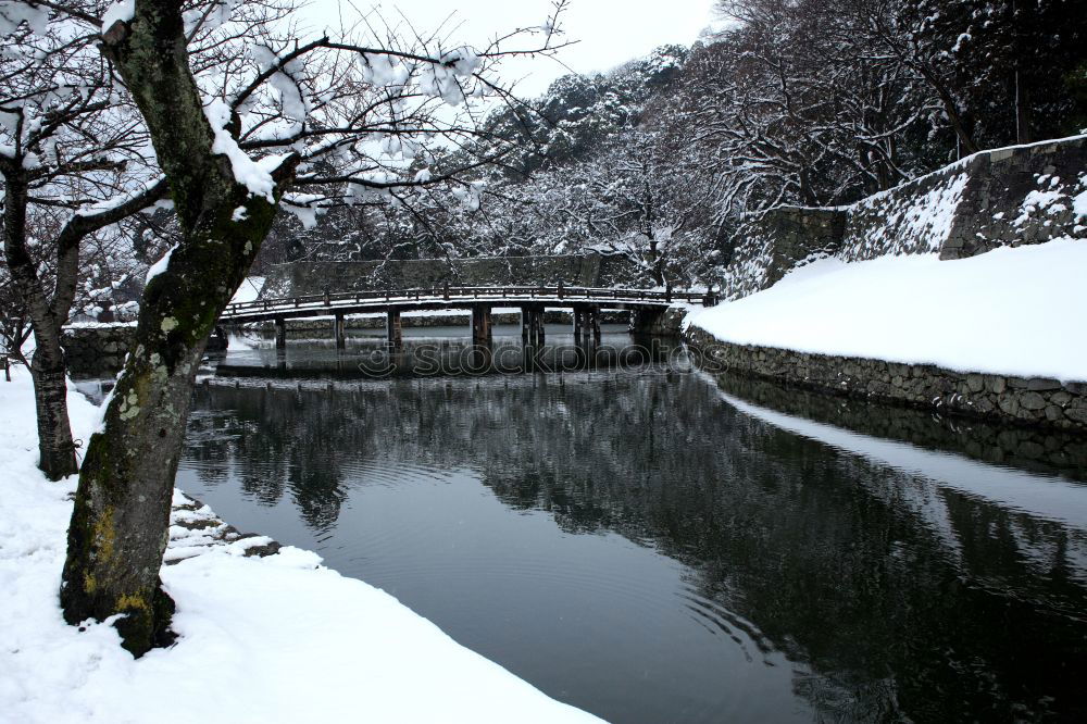 Similar – Image, Stock Photo Railway bridge over river at snowfall, winter Norway