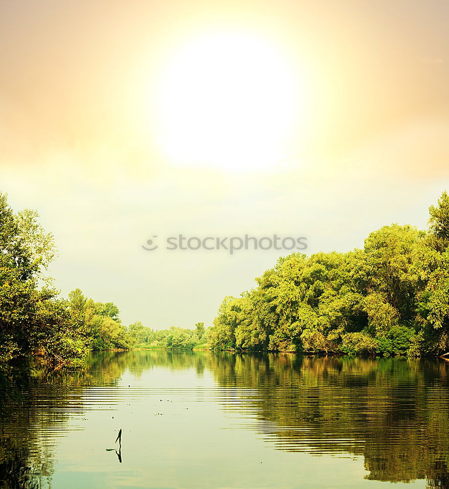 Similar – Image, Stock Photo *Pigeon dove Lake