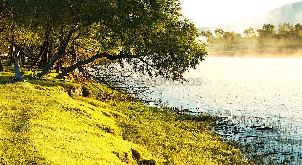 Similar – Image, Stock Photo three sisters Lifestyle
