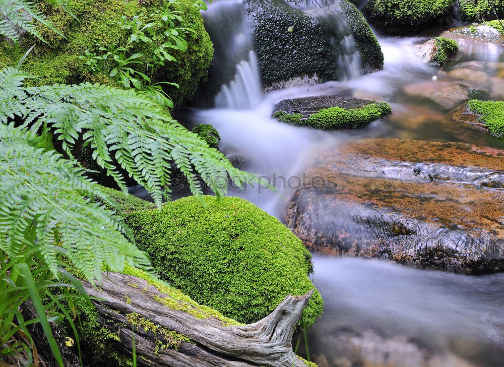 Similar – Image, Stock Photo Waterfall in autumn