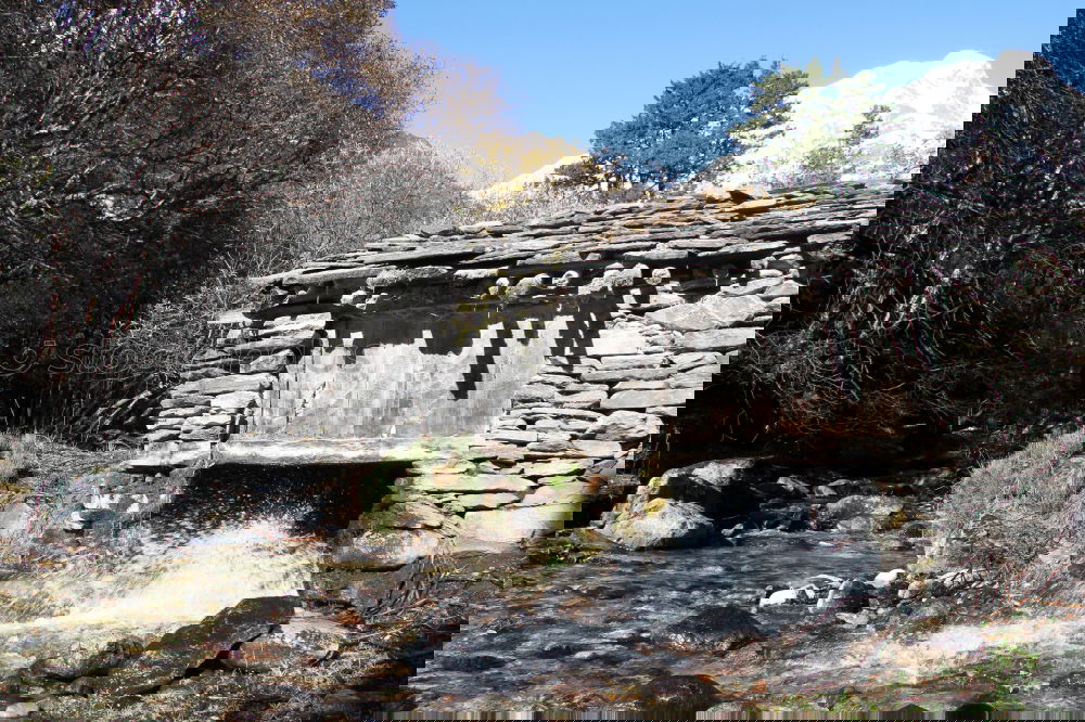 Similar – Foto Bild Schneekatastrophe im Bay. Wald