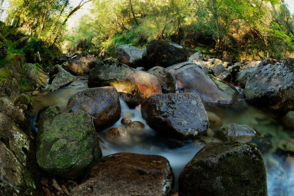 Similar – Little brook in the park