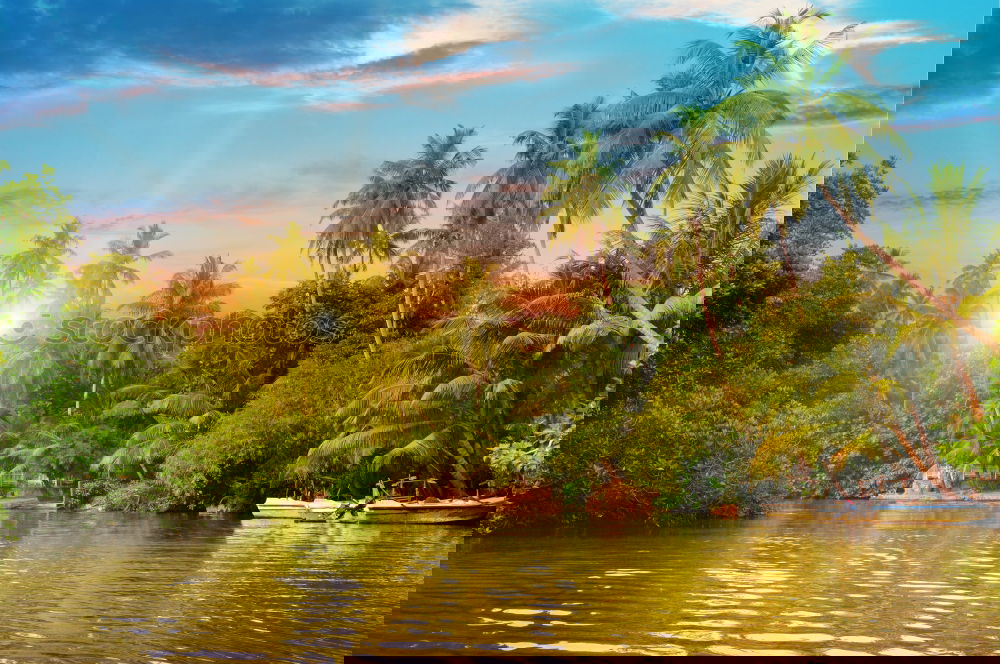Similar – Image, Stock Photo In the peace lies the strength