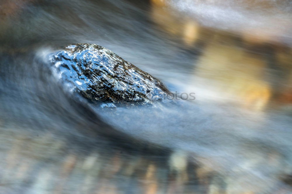 Similar – Image, Stock Photo Ambiguities | Looking Away. Snail eyes