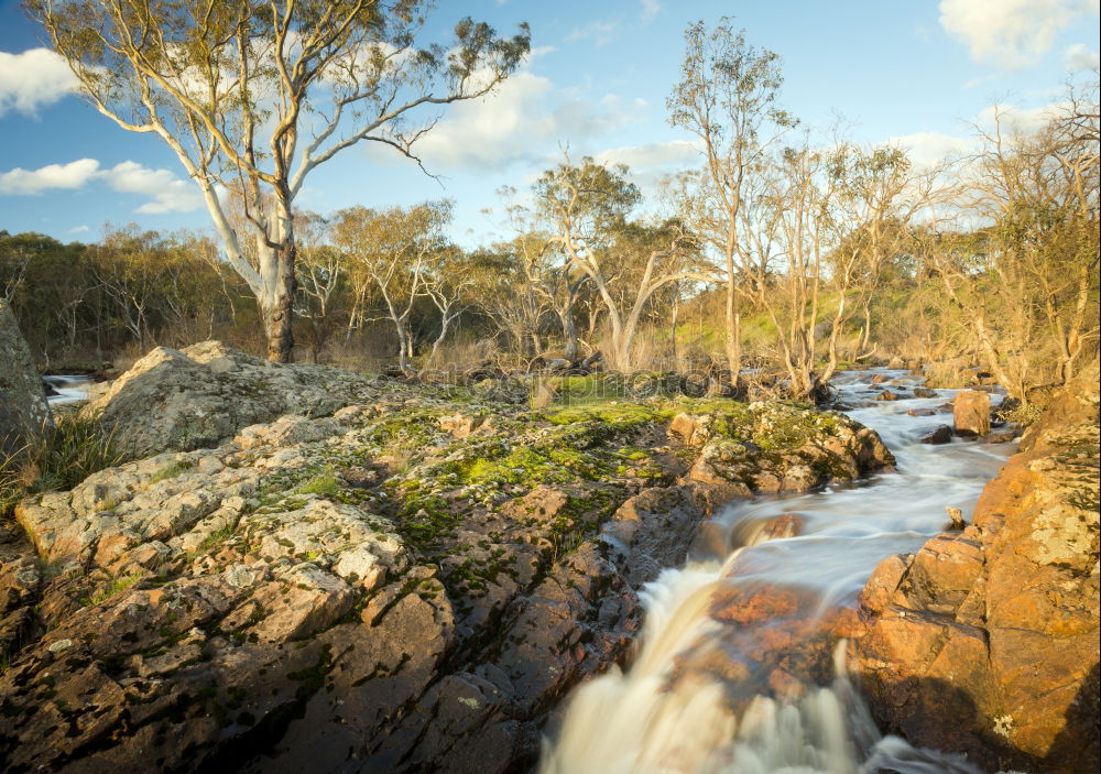 Similar – Alligator Creek Umwelt