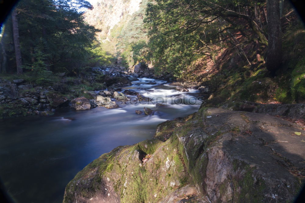 Image, Stock Photo Göltzsch valley Landscape