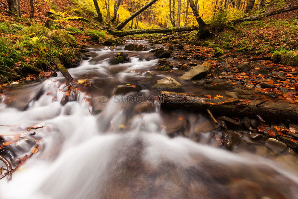 Similar – Image, Stock Photo River in autumn forest with colorful trees