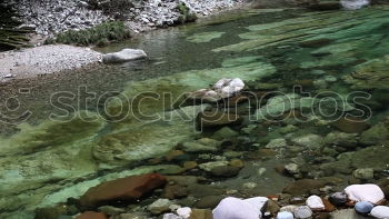 Similar – Foto Bild splash Leben