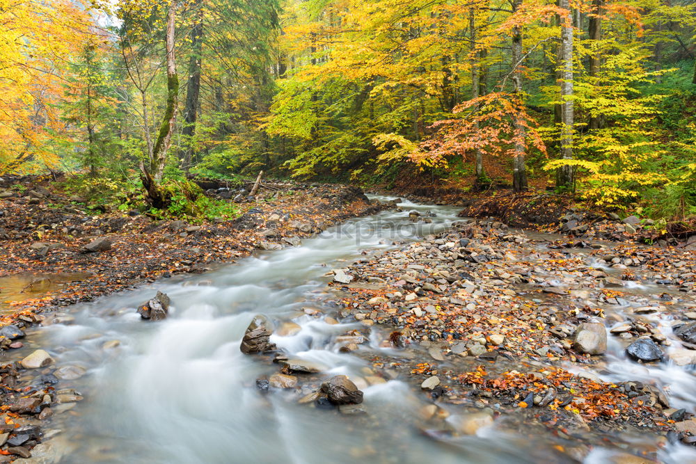 Similar – Image, Stock Photo River in autumn forest with colorful trees