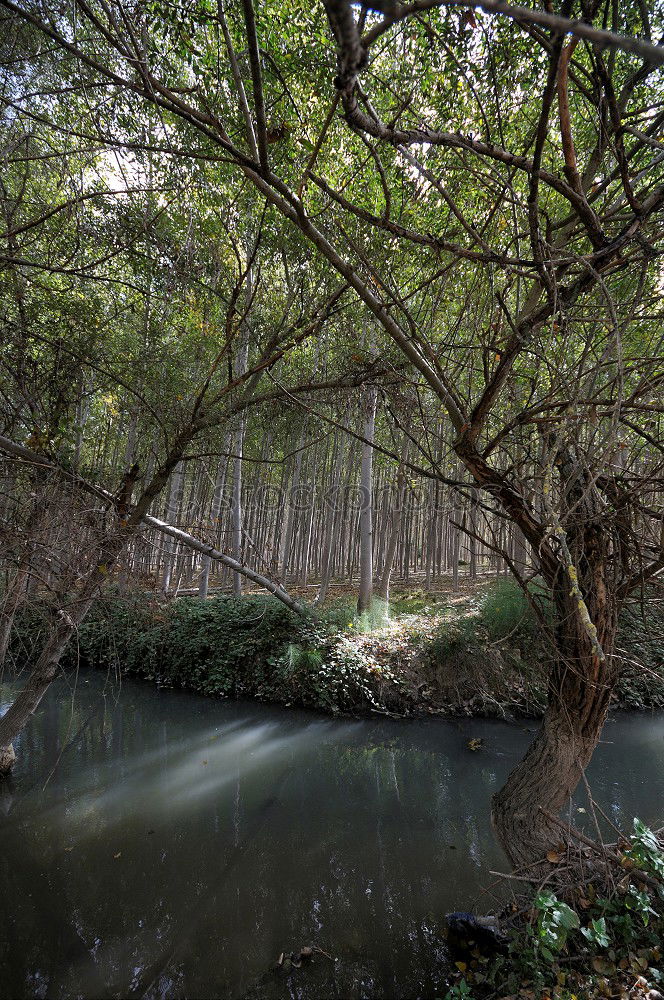 Similar – water gate Nature