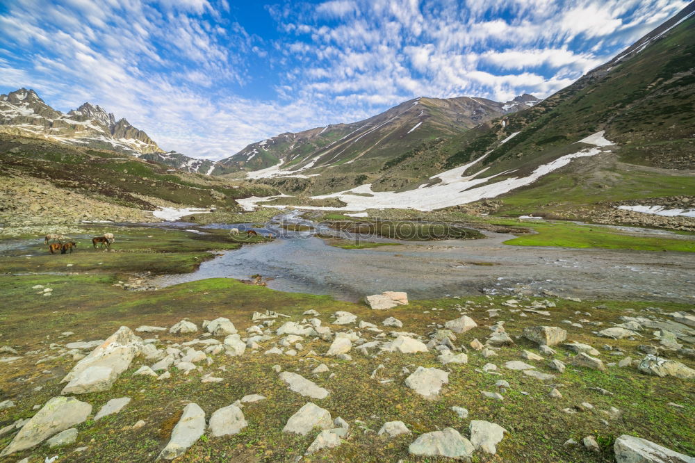 Similar – Image, Stock Photo River in the Andes in Peru