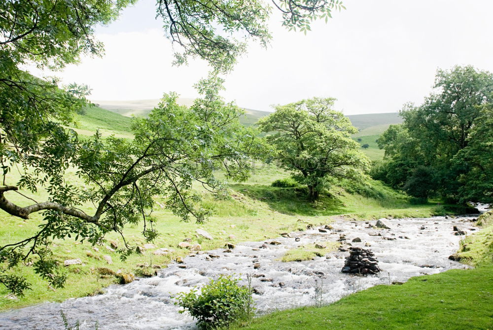 Similar – Foto Bild Kylemore Abbey in Irland