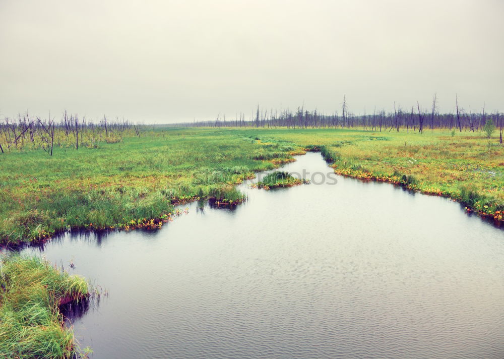 Similar – parted Meadow Field Coast