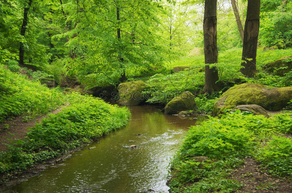 Similar – Image, Stock Photo Landscape in the Spreewald near Lübbenau