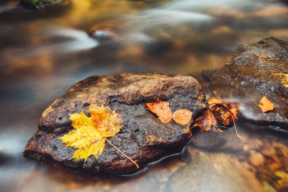 Similar – Image, Stock Photo Stony steady dripping ll