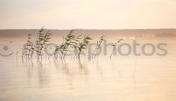 Similar – Image, Stock Photo city lake