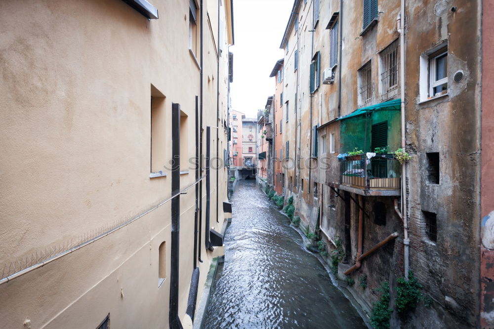 Similar – Image, Stock Photo The streets of Naples 9