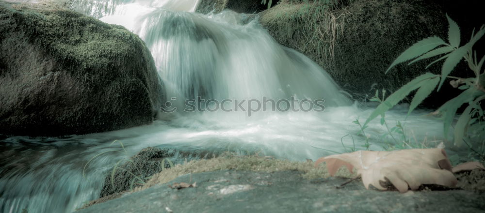 Similar – Image, Stock Photo dog days Nature Elements