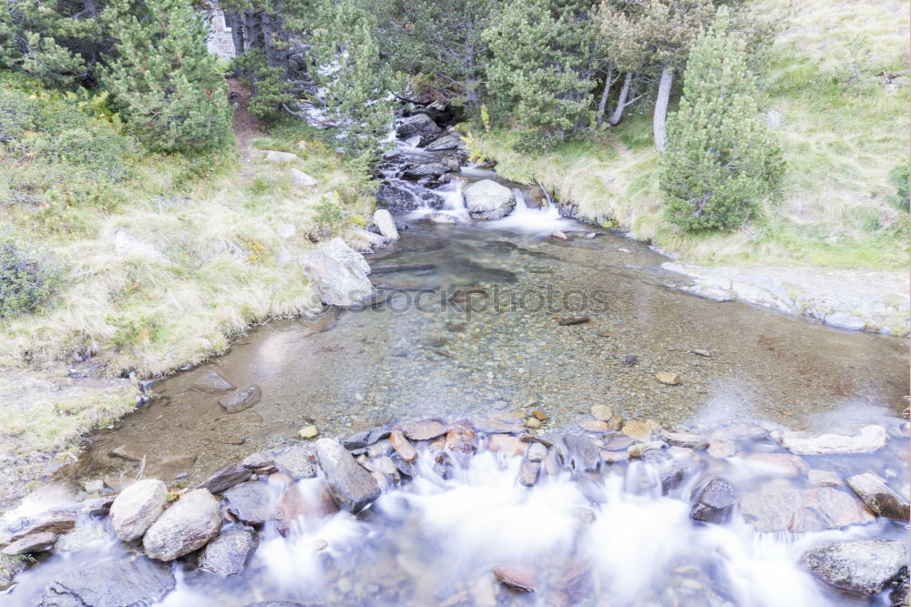 Similar – Image, Stock Photo They’re drops of water in summer.