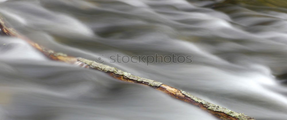 Similar – Image, Stock Photo driftwood Wood Lake Tree