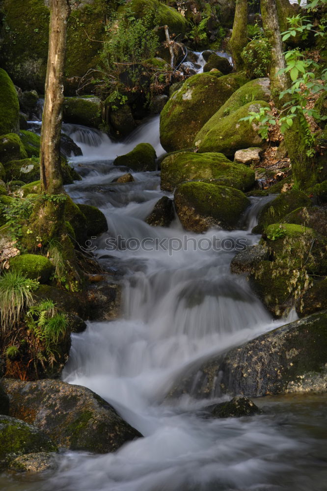 Similar – Natur pur Landschaft