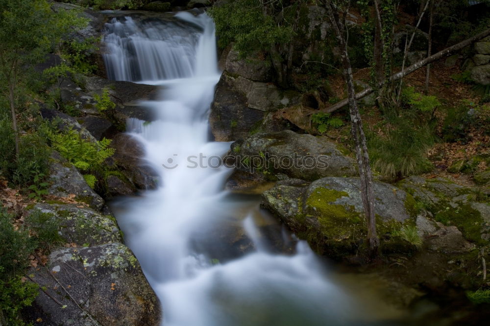 Image, Stock Photo Nature (without diploma)