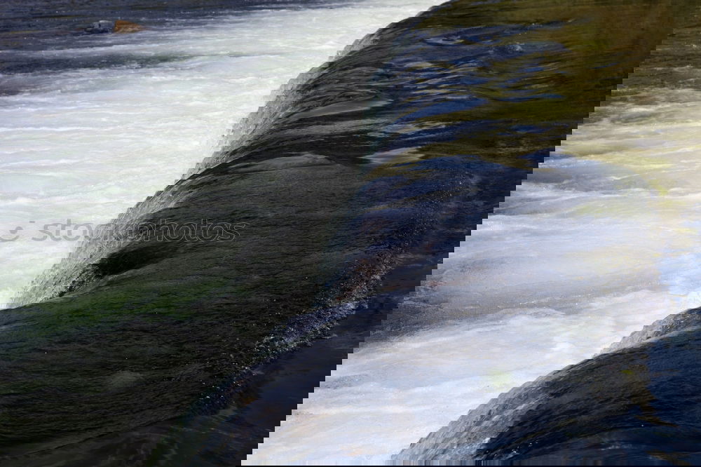 Similar – Image, Stock Photo Tires under water Lake