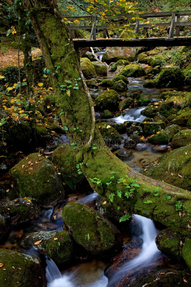 Similar – The Creek at the Yoro Waterfall in Gifu, Japan