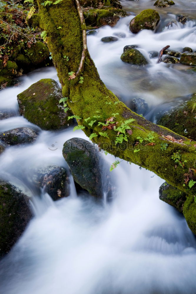 Similar – Image, Stock Photo Small cascade flowing in the forest