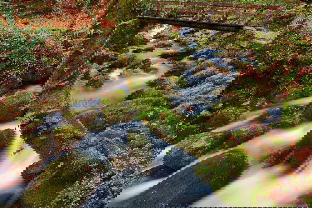 Similar – Image, Stock Photo Landscape with deer and old bridge over river in Scotland