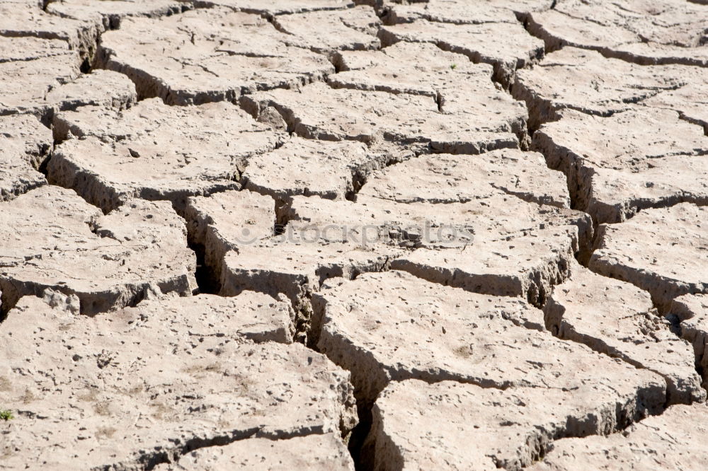 Similar – aridity Dry Drought