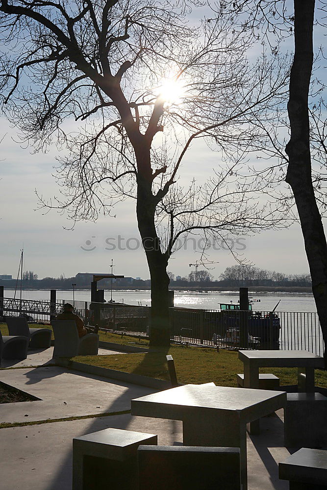 Similar – Leerer, geschlossener Biergarten mit schöner Aussicht und Baum.