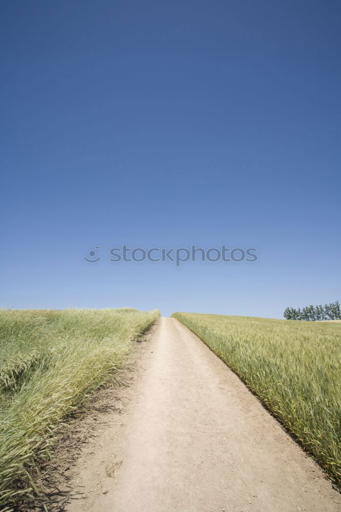 Similar – Foto Bild Der Weg zum Grabhügel …