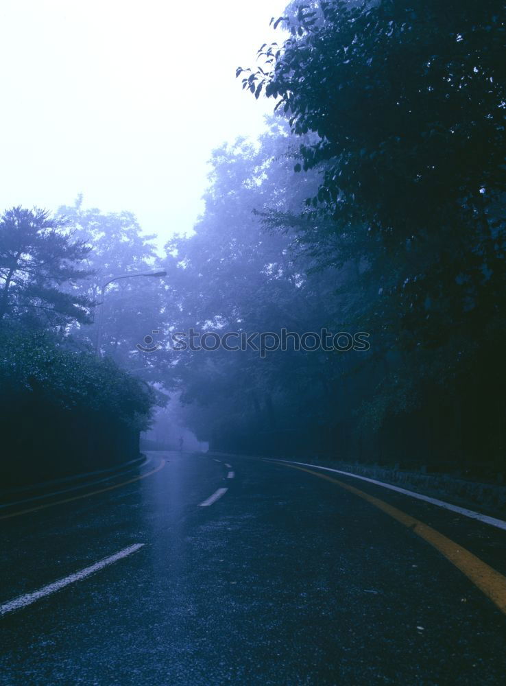 Similar – Image, Stock Photo fog. Fog Fogged over