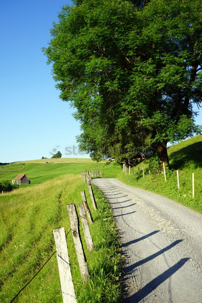 Similar – Foto Bild See you Fußweg Gras Staub