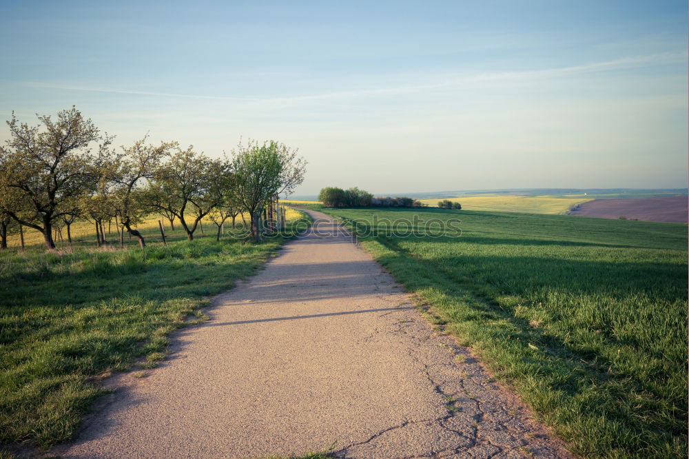 Similar – Image, Stock Photo highway Harmonious