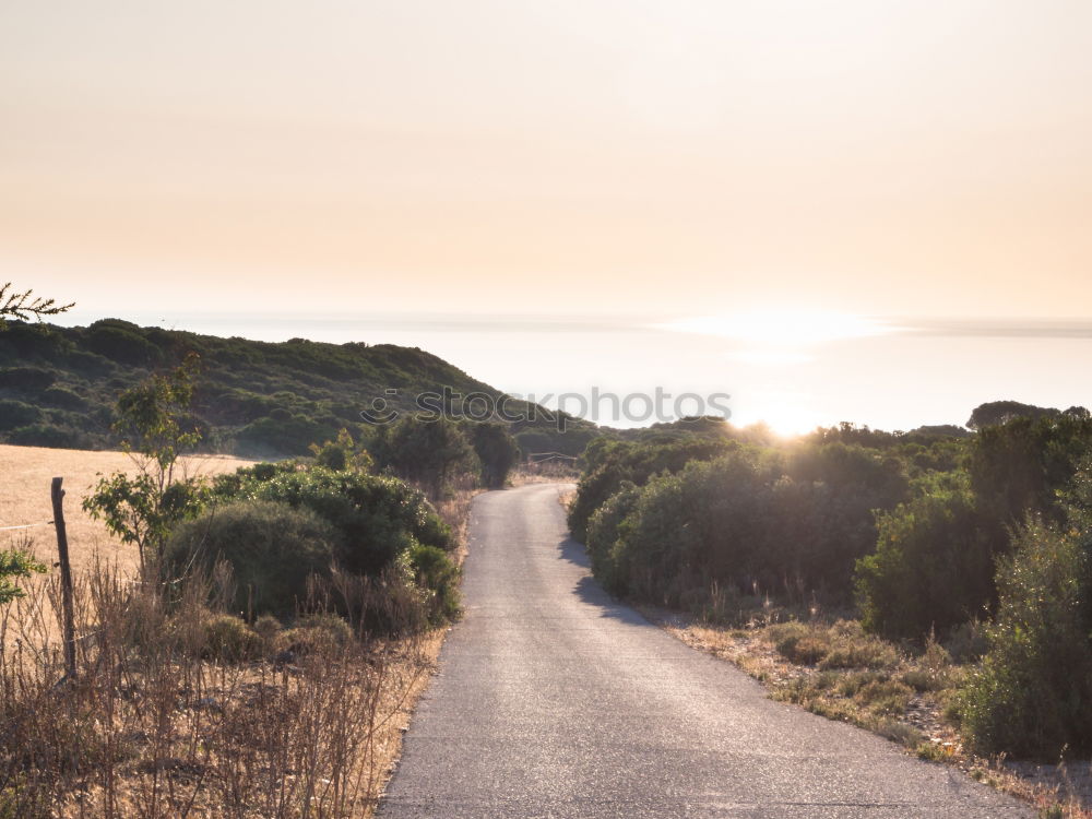 Image, Stock Photo Mediterranean road on sunset.