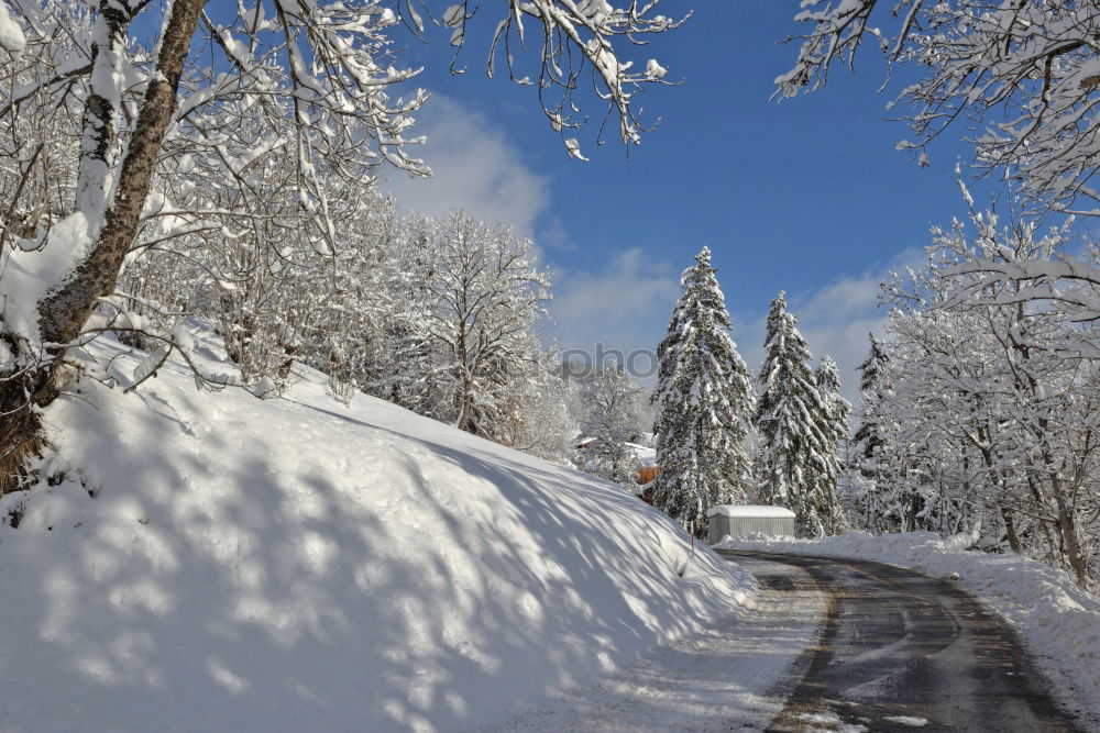 Similar – dem Winter entgegen